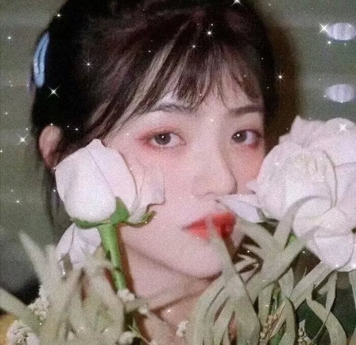 舞来疯